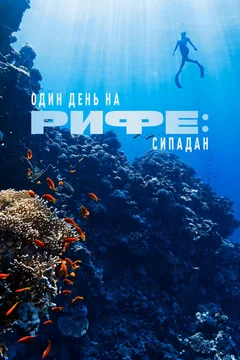 Фильм Один день на рифе: Сипадан (2023)